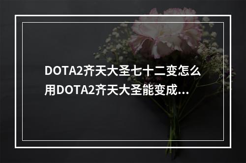 DOTA2齐天大圣七十二变怎么用DOTA2齐天大圣能变成什么(dota2齐天大圣)