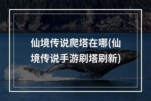 仙境传说爬塔在哪(仙境传说手游刷塔刷新)