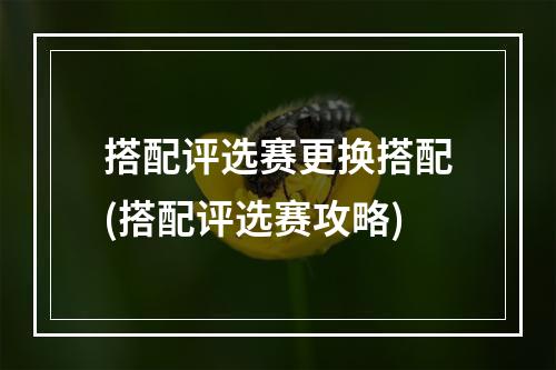 搭配评选赛更换搭配(搭配评选赛攻略)