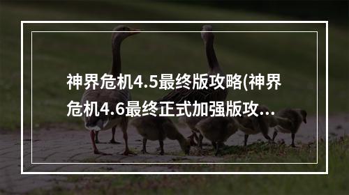 神界危机4.5最终版攻略(神界危机4.6最终正式加强版攻略)