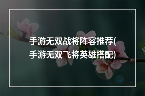 手游无双战将阵容推荐(手游无双飞将英雄搭配)