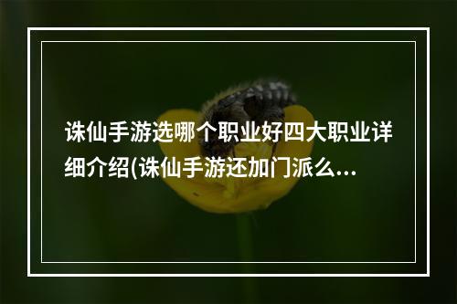 诛仙手游选哪个职业好四大职业详细介绍(诛仙手游还加门派么)