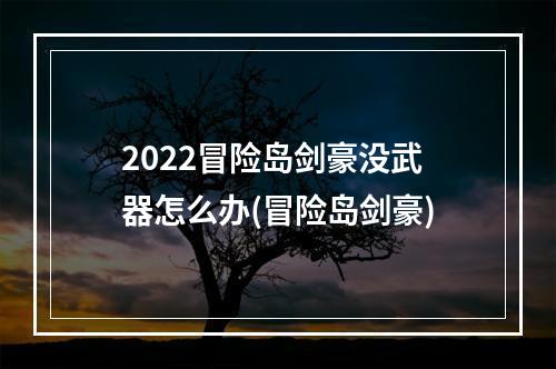 2022冒险岛剑豪没武器怎么办(冒险岛剑豪)