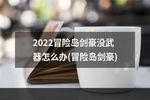 2022冒险岛剑豪没武器怎么办(冒险岛剑豪)