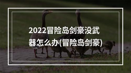 2022冒险岛剑豪没武器怎么办(冒险岛剑豪)