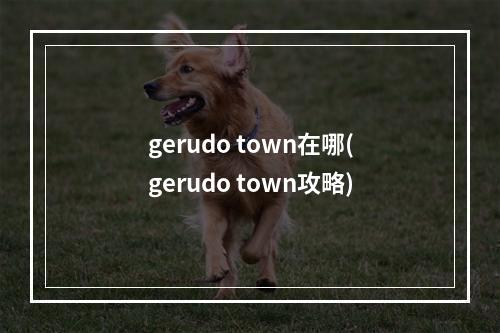 gerudo town在哪(gerudo town攻略)