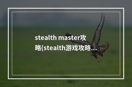 stealth master攻略(stealth游戏攻略)