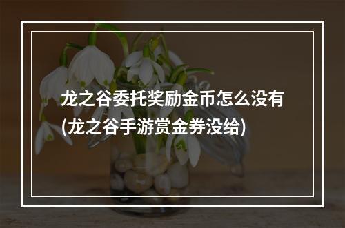 龙之谷委托奖励金币怎么没有(龙之谷手游赏金券没给)