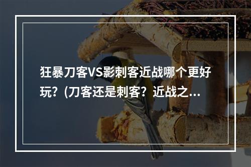 狂暴刀客VS影刺客近战哪个更好玩？(刀客还是刺客？近战之争)