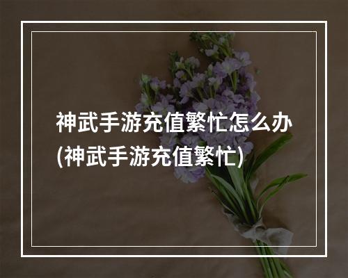 神武手游充值繁忙怎么办(神武手游充值繁忙)