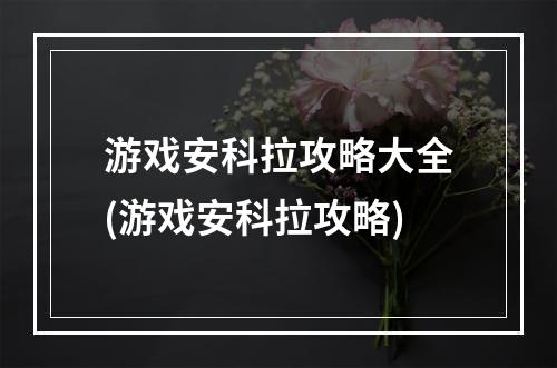 游戏安科拉攻略大全(游戏安科拉攻略)