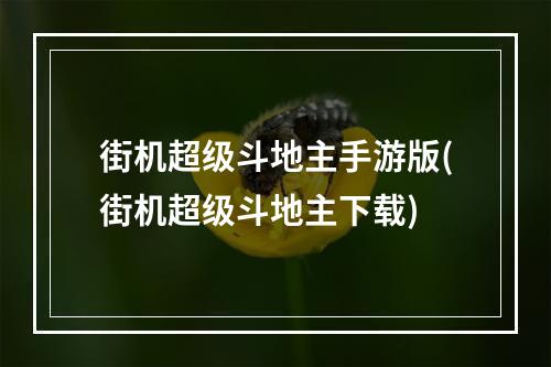 街机超级斗地主手游版(街机超级斗地主下载)