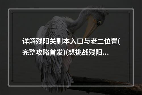 详解残阳关副本入口与老二位置(完整攻略首发)(想挑战残阳关老二吗？赶快来看副本入口方法！)