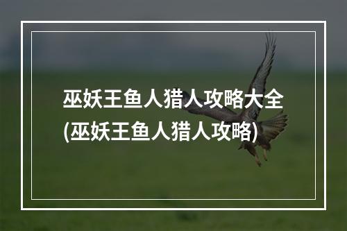 巫妖王鱼人猎人攻略大全(巫妖王鱼人猎人攻略)