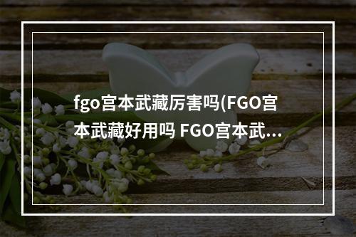 fgo宫本武藏厉害吗(FGO宫本武藏好用吗 FGO宫本武藏技能属性解析)