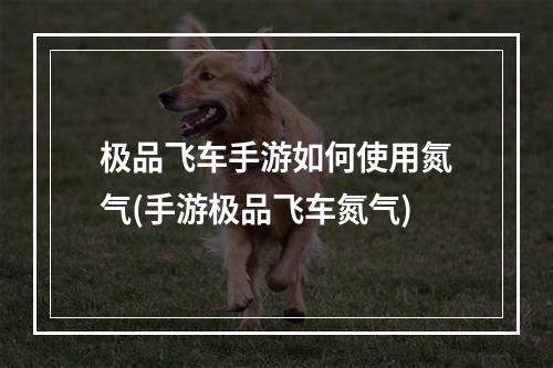 极品飞车手游如何使用氮气(手游极品飞车氮气)