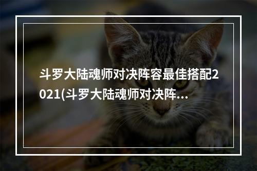 斗罗大陆魂师对决阵容最佳搭配2021(斗罗大陆魂师对决阵容推荐 2022什么阵容比较强 )