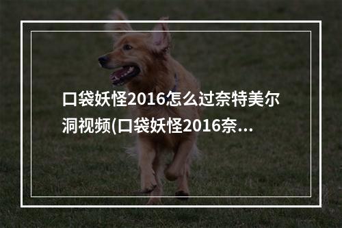 口袋妖怪2016怎么过奈特美尔洞视频(口袋妖怪2016奈特攻略)