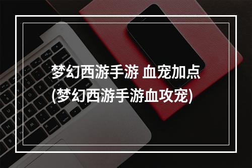 梦幻西游手游 血宠加点(梦幻西游手游血攻宠)