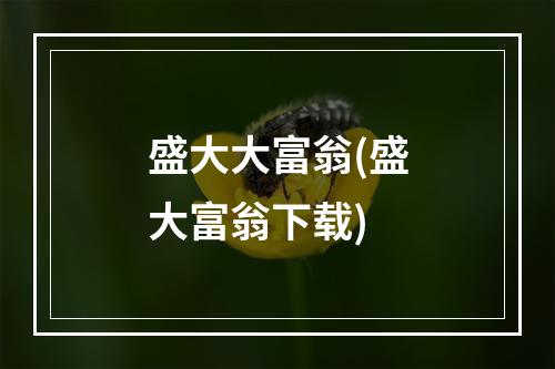 盛大大富翁(盛大富翁下载)