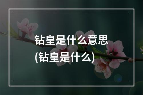 钻皇是什么意思(钻皇是什么)