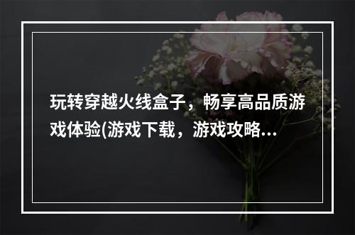 玩转穿越火线盒子，畅享高品质游戏体验(游戏下载，游戏攻略)(盒子里的全新世界，进入cf游戏的奇妙之旅(游戏玩法，游戏社区))