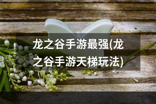 龙之谷手游最强(龙之谷手游天梯玩法)