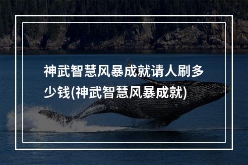 神武智慧风暴成就请人刷多少钱(神武智慧风暴成就)