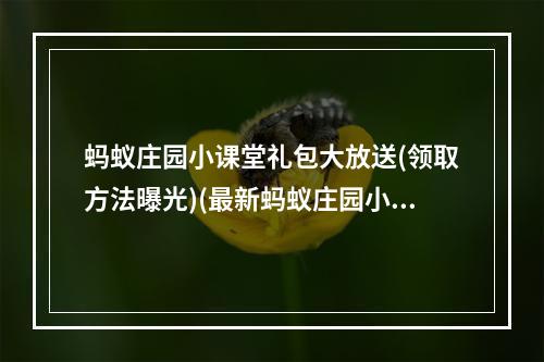 蚂蚁庄园小课堂礼包大放送(领取方法曝光)(最新蚂蚁庄园小课堂活动大揭秘(赢取丰厚奖励))