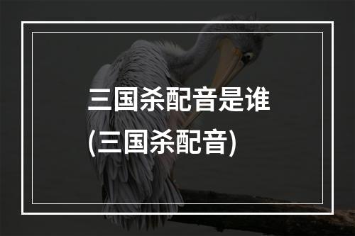 三国杀配音是谁(三国杀配音)