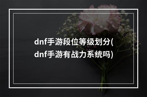 dnf手游段位等级划分(dnf手游有战力系统吗)