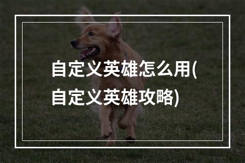 自定义英雄怎么用(自定义英雄攻略)