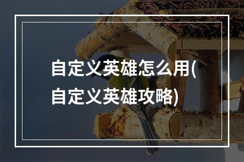 自定义英雄怎么用(自定义英雄攻略)