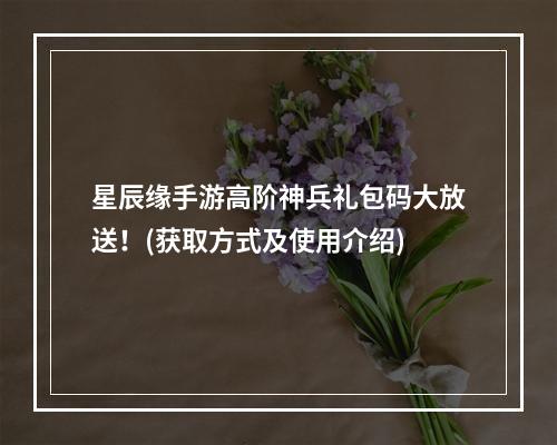 星辰缘手游高阶神兵礼包码大放送！(获取方式及使用介绍)