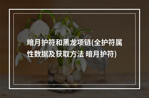 暗月护符和黑龙项链(全护符属性数据及获取方法 暗月护符)