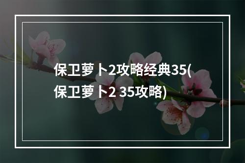 保卫萝卜2攻略经典35(保卫萝卜2 35攻略)