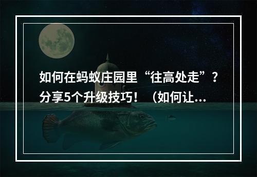 如何在蚂蚁庄园里“往高处走”？分享5个升级技巧！（如何让水往高处流打造一流游戏技巧）