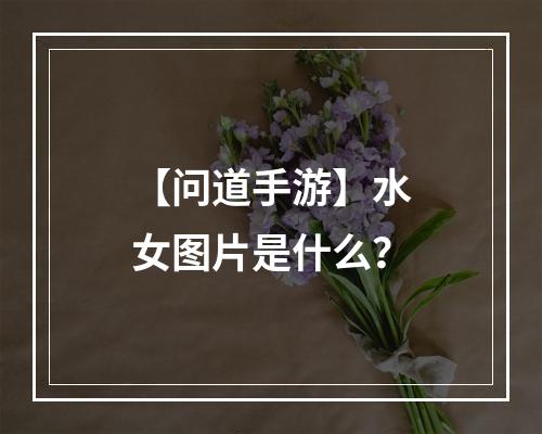 【问道手游】水女图片是什么？