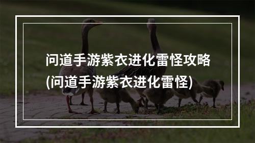 问道手游紫衣进化雷怪攻略(问道手游紫衣进化雷怪)