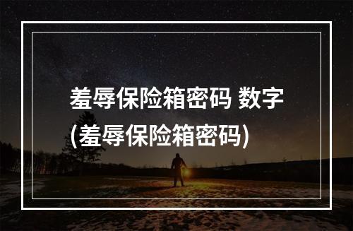 羞辱保险箱密码 数字(羞辱保险箱密码)