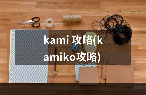 kami 攻略(kamiko攻略)