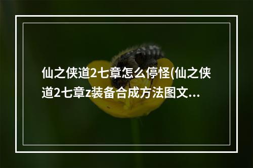 仙之侠道2七章怎么停怪(仙之侠道2七章z装备合成方法图文介绍 )