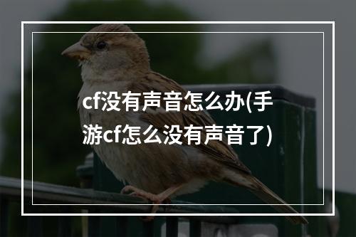 cf没有声音怎么办(手游cf怎么没有声音了)