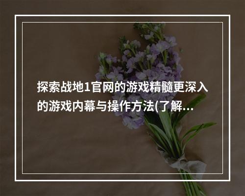 探索战地1官网的游戏精髓更深入的游戏内幕与操作方法(了解战场、掌握战术)