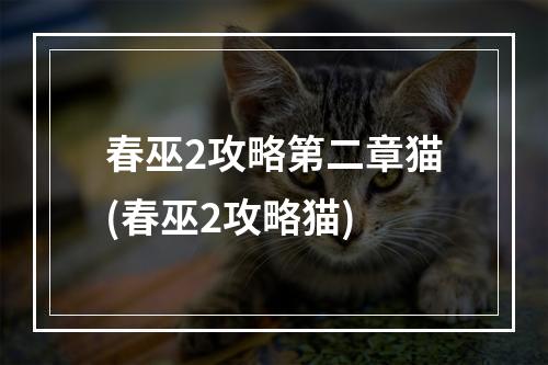 春巫2攻略第二章猫(春巫2攻略猫)