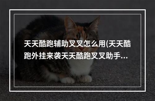 天天酷跑辅助叉叉怎么用(天天酷跑外挂来袭天天酷跑叉叉助手刷金币最新无异常不封)