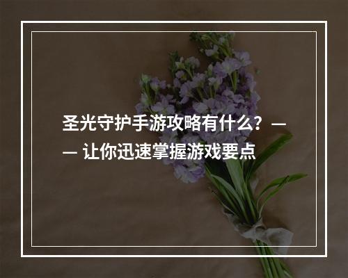 圣光守护手游攻略有什么？—— 让你迅速掌握游戏要点