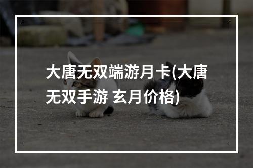 大唐无双端游月卡(大唐无双手游 玄月价格)