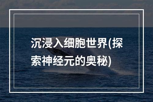 沉浸入细胞世界(探索神经元的奥秘)