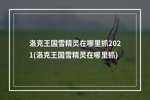 洛克王国雪精灵在哪里抓2021(洛克王国雪精灵在哪里抓)